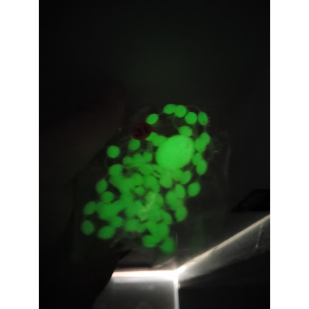 Rosary Glow in the Dark Luminous Plastic Prayer Beads Green Glow Crucifix